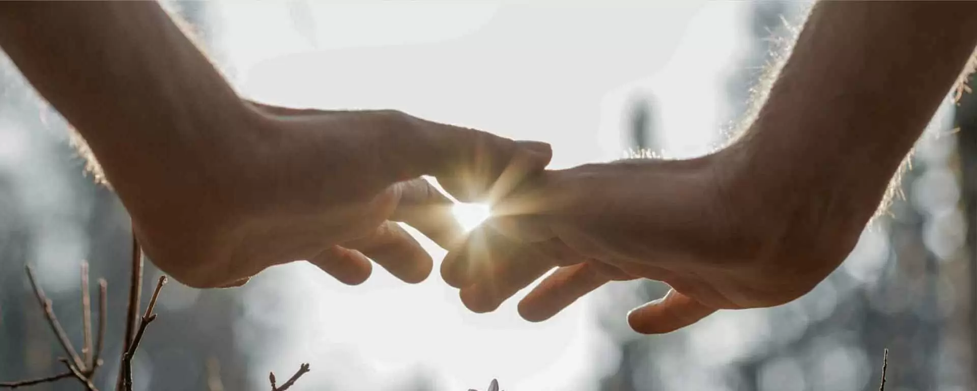 Reiki 1 with Inge – group starting September 21, 2024 Reiki 1 with Inge – group starting September 21, 2024